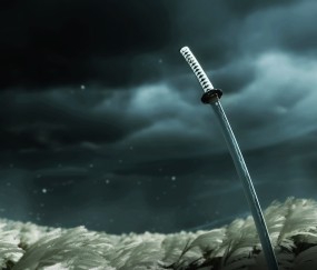 体育竞猜网站-全新里程碑，v7.2.5 版本正式发布，开启智能协作新篇章